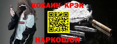индика Кингисепп
