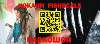 индика Кингисепп