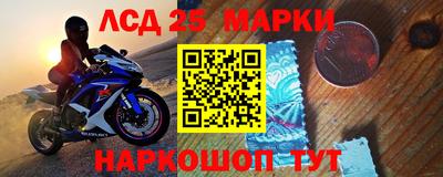 индика Кингисепп