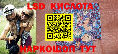 индика Кингисепп