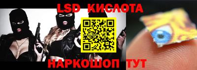 индика Кингисепп