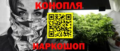 индика Кингисепп