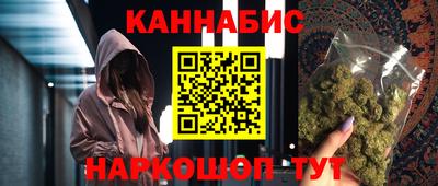 индика Кингисепп