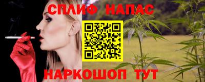 индика Кингисепп