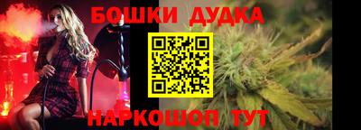 индика Кингисепп