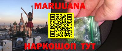 индика Кингисепп