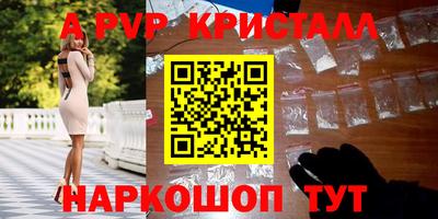 индика Кингисепп