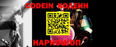 индика Кингисепп