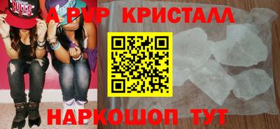 индика Кингисепп