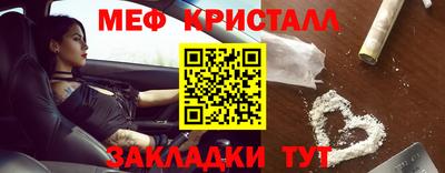 индика Кингисепп
