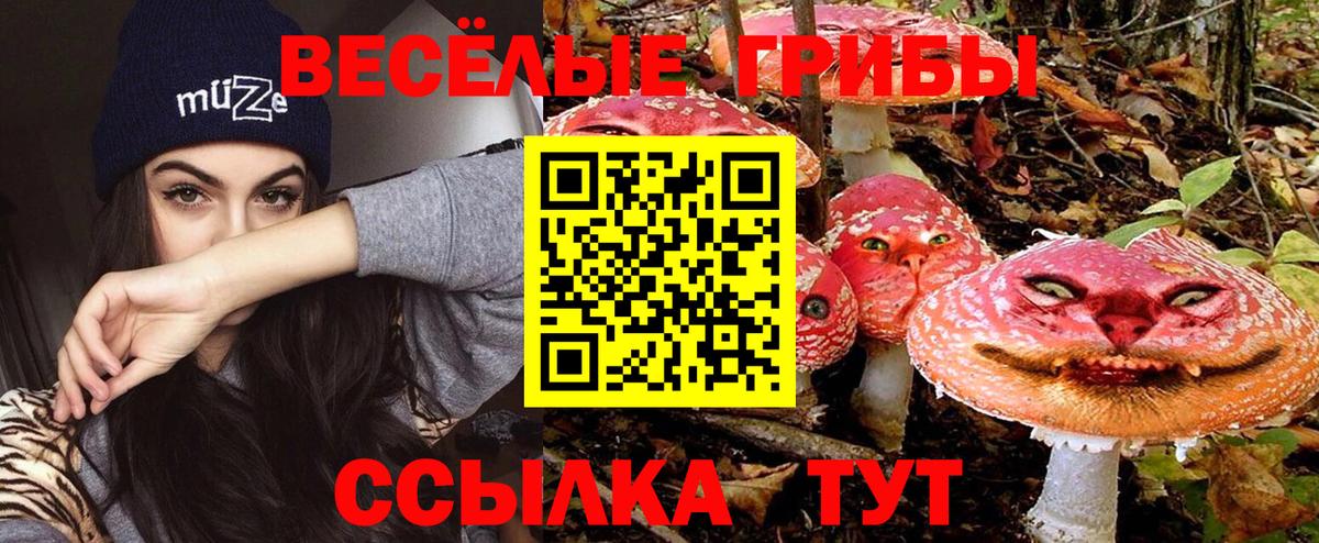 Псилоцибиновые грибы мицелий Кувандык